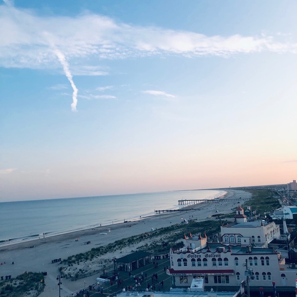 Meet your Posher, Giselle - Picture 1 of 1